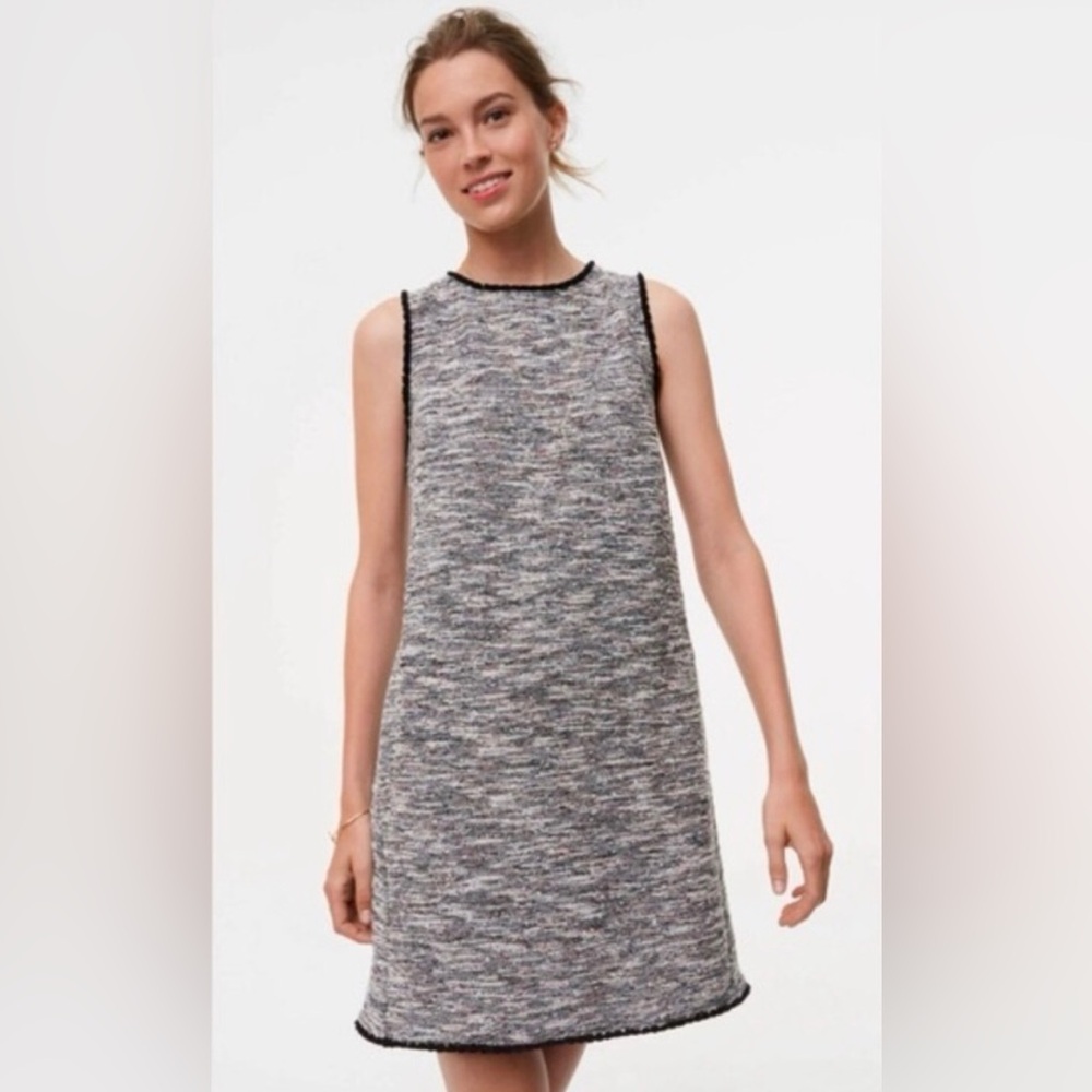 LOFT fringe tweed shift dress with a black lining. Zips up the back.